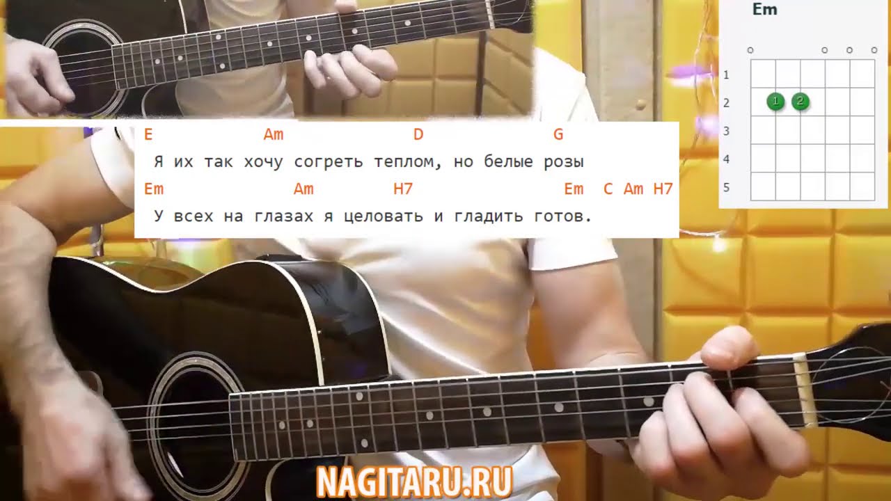 Ласковый май — Белые розы. Аккорды на гитаре