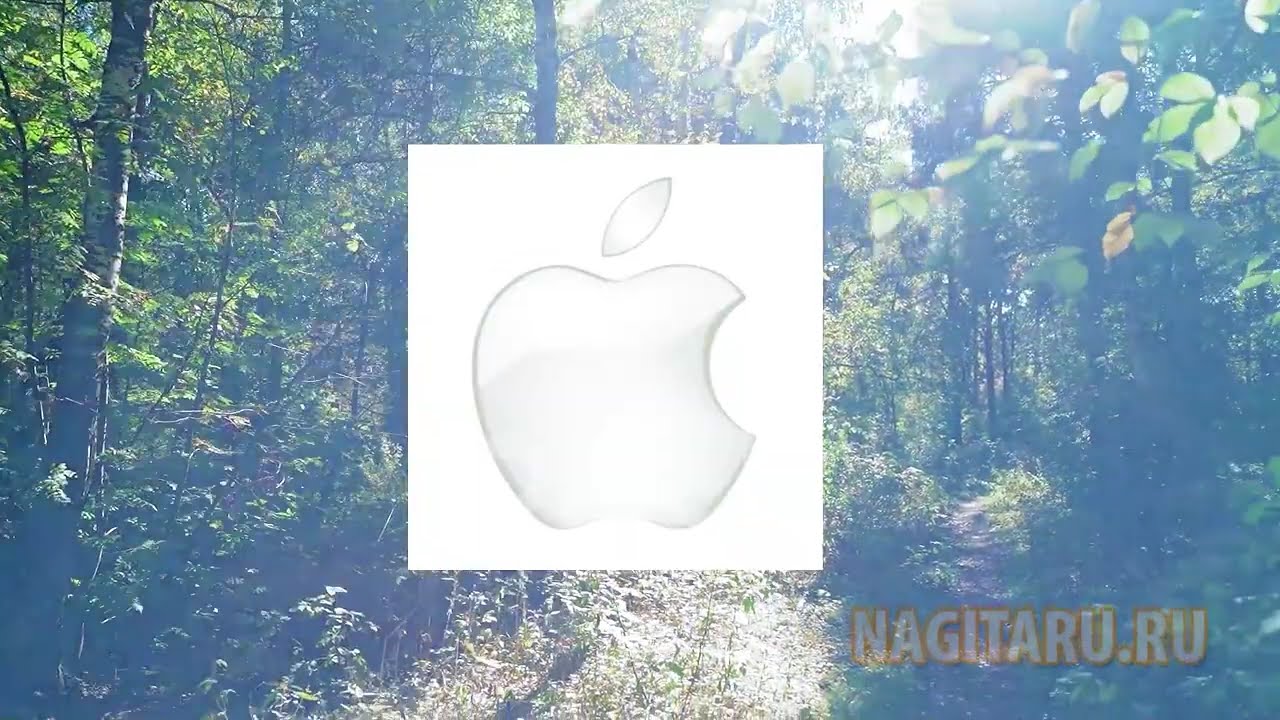 10 советов для начинающего гитариста! Основы и мотивация!