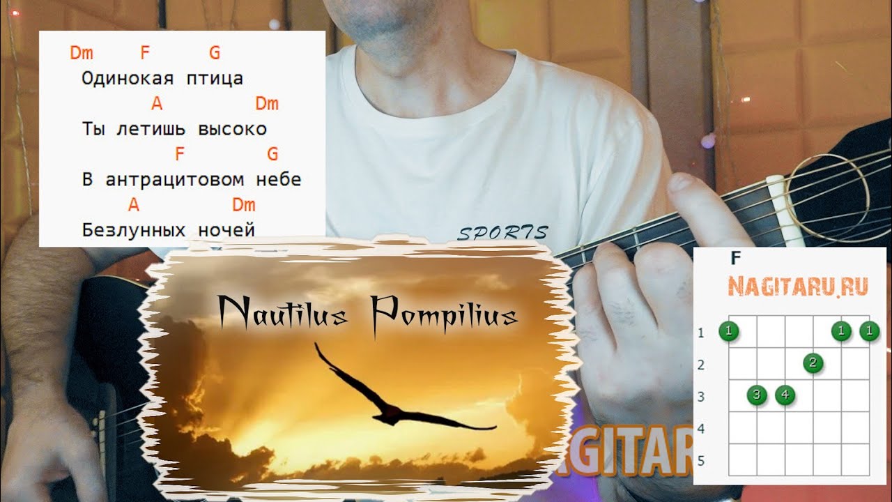 Наутилус Помпилиус — Одинокая птица. Аккорды на гитаре